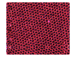 86 Pink Scale